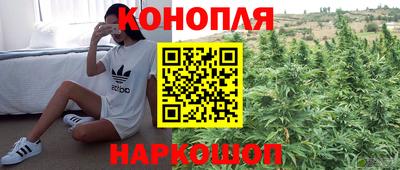 jwh Бердск