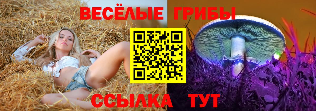 Псилоцибиновые грибы GOLDEN TEACHER  Галлюциногенные грибы MAGIC MUSHROOMS  Вход с VPN  Алушта 