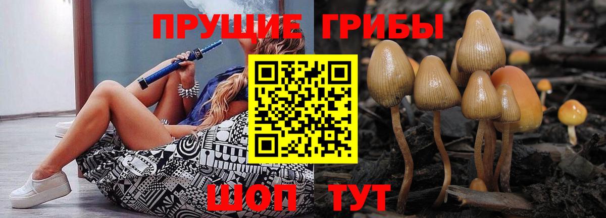 Галлюциногенные грибы прущие грибы Алушта